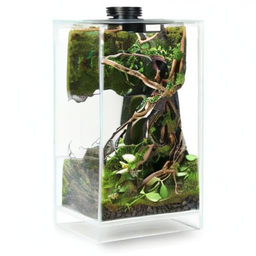 Desktop Glass Plant Terrarium with Grow Light for Carnivorous Plants & Moss | L7.8 x W7.8 x H14 in; Timer Auto On/Off; Succulent Display; Miniature Gardening; Indoor Decor; Gift for Plant Lovers.