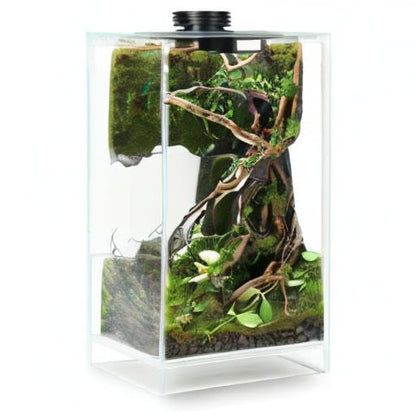 Desktop Glass Plant Terrarium with Grow Light for Carnivorous Plants & Moss | L7.8 x W7.8 x H14 in; Timer Auto On/Off; Succulent Display; Miniature Gardening; Indoor Decor; Gift for Plant Lovers.