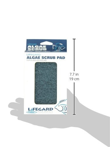 Lifegard Aquatics 4-Inch by 6-Inch Blue Algae Pad, Black, Model Number: R270912