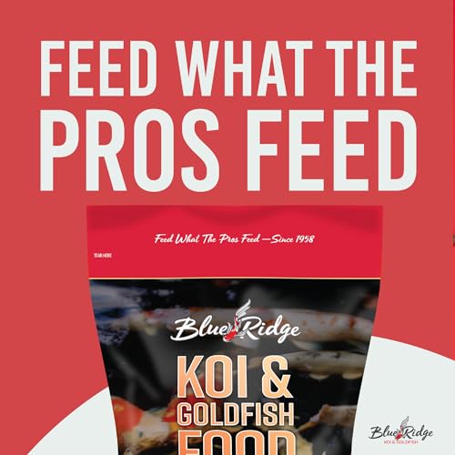 Blue Ridge Koi Fish Food 2lb - Koi Food 3/16” Large and Mini Blend Growth Formula, Goldfish Food, Premium Fish Food for Ponds, Ponds Fish Food, Floating Pond Pellets - size: 2 Pound (Pack of 1)