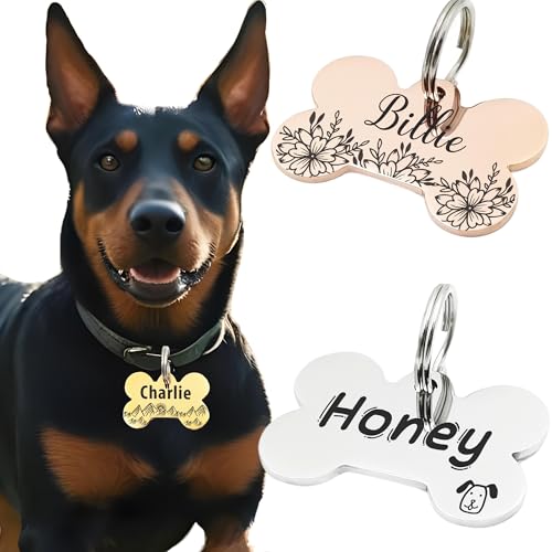 Personalized Custom Engraved Dog Cat Tag with Contact Information (Bone) | Stainless Steel ID Tags,Multiple Shapes and Colors - style: Bone