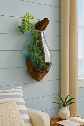 OMA Handcrafted Molten Glass on Driftwood Wall Planter Vase – Unique Hanging Terrarium & Decorative Sculpture – Rustic Coastal Wall Art for Succulents, Air Plants, Indoor Décor - Artisan Boho Gift
