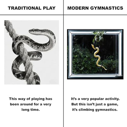 Horsmiyla 3-Ring DIY Snake Climbing Rings for Ball Python Tank Decor | Customizable Vertical Reptile Enrichment Toys, Reptile Cage Accessories Fit Chameleon & All Reptile Habitats