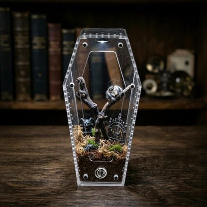 Installation-Free Acrylic Coffin Jumping Spider Enclosure - Gothic Terrarium Habitat with Magnetic Lid, Micro Reptile Breeding Box for Slings, Mantis, Isopods and Small Insects - color: transparent
