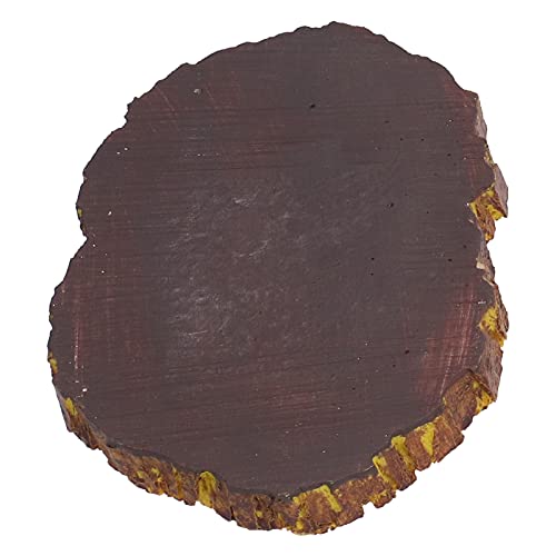 YOUTHINK Reptile Food Basin Imitation Bark Lizard Feeder Resin Dish for Small Reptiles