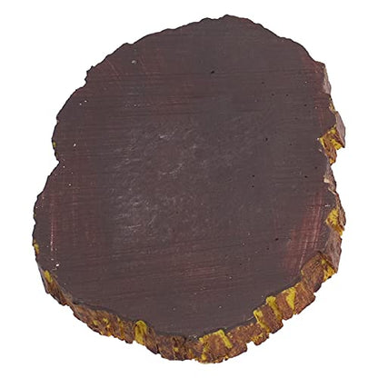 YOUTHINK Reptile Food Basin Imitation Bark Lizard Feeder Resin Dish for Small Reptiles