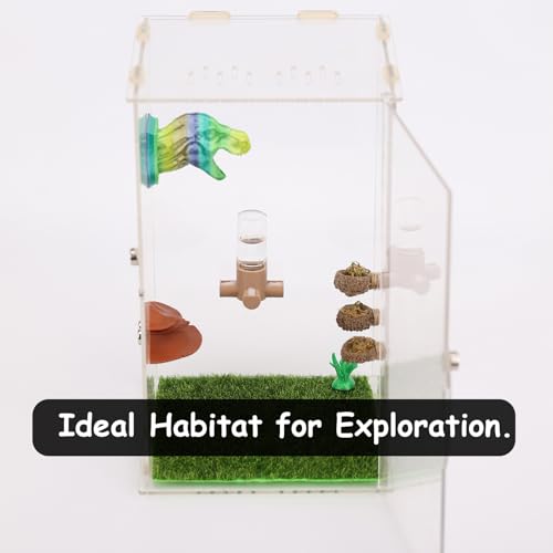 Jumping Spider Water Dispenser, Magnetic Hanging Feeder,Suitable for Jumping Spiders,Tarantulas, Praying Mantises,Arboreal Animals, and Other Small Animal Enclosure Accessories,5ML (White) - color: White