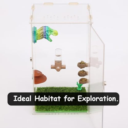 Jumping Spider Water Dispenser, Magnetic Hanging Feeder,Suitable for Jumping Spiders,Tarantulas, Praying Mantises,Arboreal Animals, and Other Small Animal Enclosure Accessories,5ML (White) - color: White