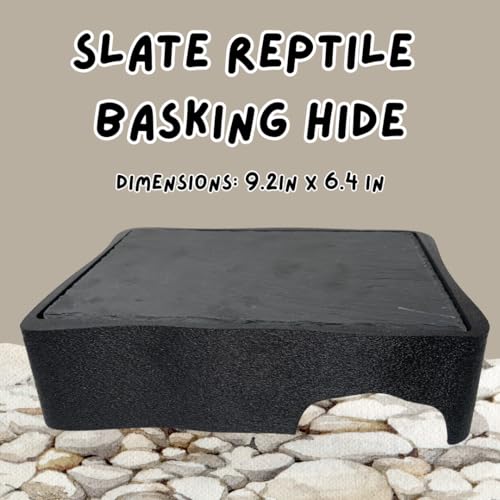 Reptile Slate Basking Hide | Accessory Platform for Bearded Dragon, Turtle, Gecko, Snake | Natural Basking Slate | Made in USA (Black, Large) - size: Large