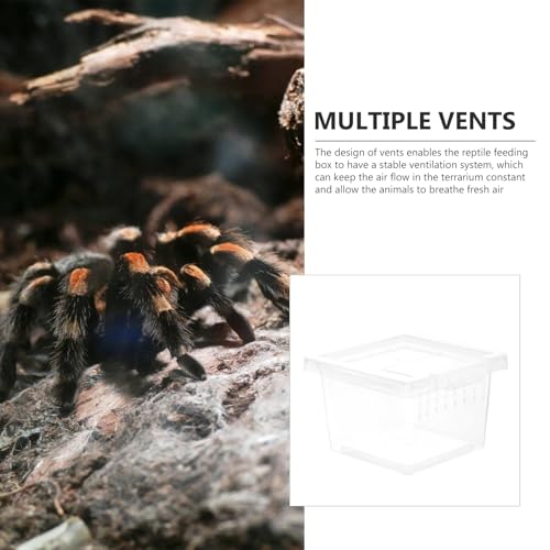 FRCOLOR Clear Plastic Insect Feeding Box Small Critter Keeper Portable Mini Terrarium Cage 2.76X2.76X1.77In Ideal for Reptiles Amphibians and Small Animals