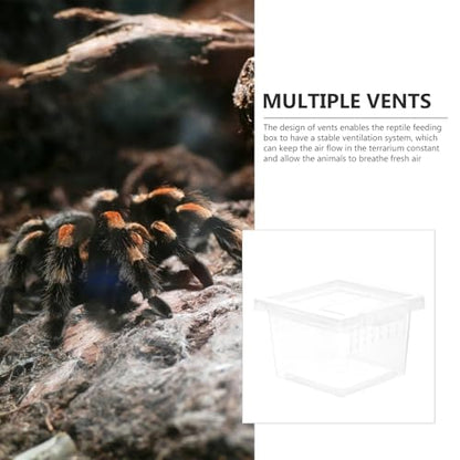FRCOLOR Clear Plastic Insect Feeding Box Small Critter Keeper Portable Mini Terrarium Cage 2.76X2.76X1.77In Ideal for Reptiles Amphibians and Small Animals