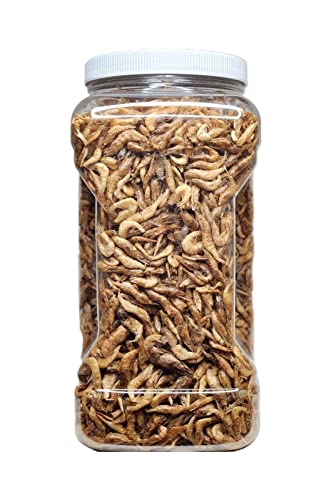 Red Shrimp-Freeze Dried 1/2" to 1 &1/4" Floating Red River Shrimp for All Tropicals, Turtles, Koi & Pond Fish, Rodents…1-lb Lg Jar - size: 1 Pound (Pack of 1)