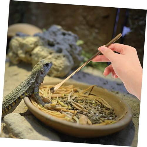YARNOW 2pcs Sturdy Reptile Food Spoon Small Pet Feeding Tool for Lizard and Turtle Stainless Steel Easy to Use