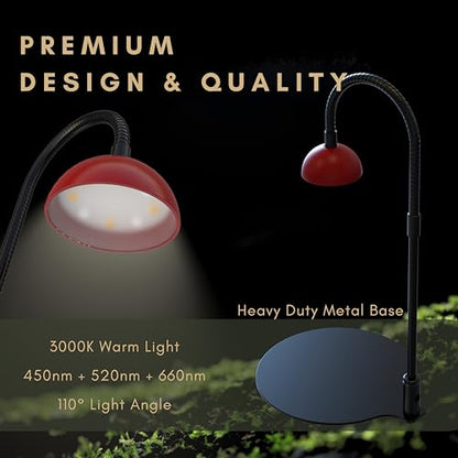 Desktop Grow Lamp Terrarium Light Plant Light on Table with Flexible Gooseneck Lamp for Terrarium Kitchen Vetegable Succulent Lamp with Auto Timer 3/6/12Hrs, 4 Brightness Levels (Red) - color: Red