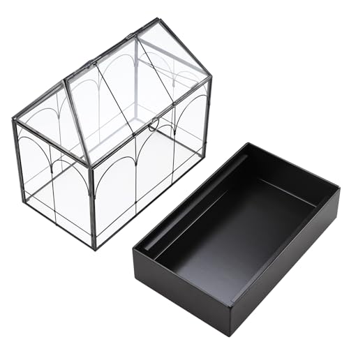 Glass Terrarium with Metal Tray, Glass Greenhouse Terrarium Kit for Succulents, Cacti, Snails, Spiders, and Miniature Reptiles, Black (Large-9.45" L x 5.7" W x 11.8" H) - size: Large-9.45"L x 5.7"W x 11.8"H