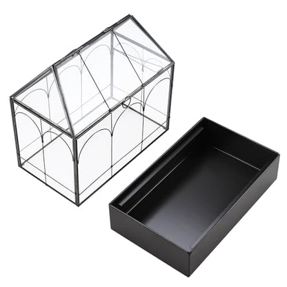 Glass Terrarium with Metal Tray, Glass Greenhouse Terrarium Kit for Succulents, Cacti, Snails, Spiders, and Miniature Reptiles, Black (Large-9.45" L x 5.7" W x 11.8" H) - size: Large-9.45"L x 5.7"W x 11.8"H