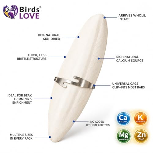 Birds LOVE 7.5-8" Cuttlebone for Birds – 100% Natural Sun-Dried Calcium Carbonate Mineral Supplement – for Parakeets, Budgies, Cockatiels, Finches & Canaries – 2 Pack with Holder – Made in Vietnam - size: 2 Count (Pack of 1)