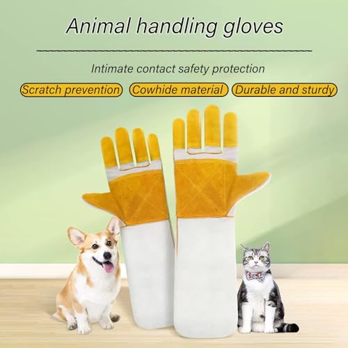 Animal Handling Gloves 36cm/14.17inReinforced Leather Gloves For Dog Training,Cat,Falcon,Reptile,Welding-Gloves - color: Gray-