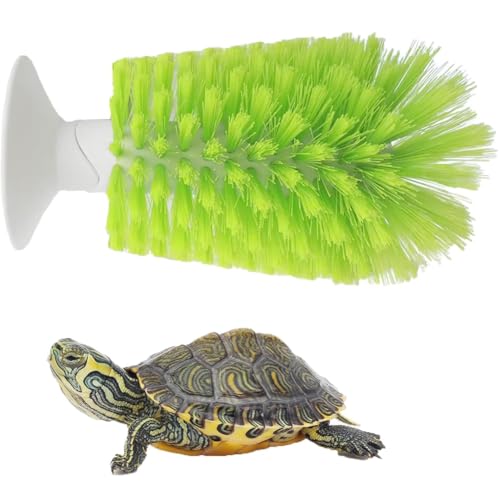Turtle Brush with Suction Cup for Tank Scratches Back Brush Shell Cleaning Brush Scrub Red Eared Slider Turtle Exfoliate Brush for Remove Turtle Shell Scutes (Green) - color: Green