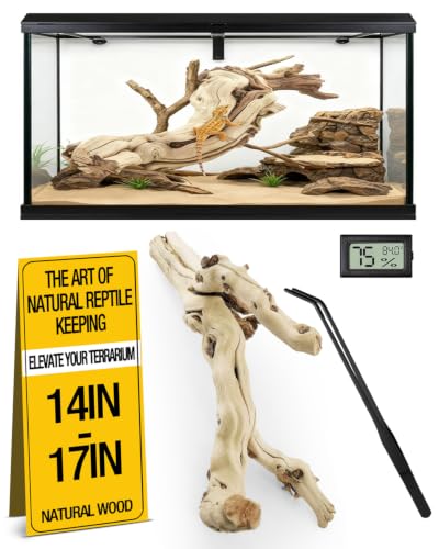 3Pcs Bearded Dragon Wood Branch, Large 14-17 Inch Reptile Wood Logs for ClimbingTerrarium Habitat Decor for Geckos, Chameleons, Frogs & Spiders - size: 1Pcs