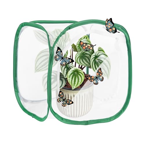 M METERXITY Butterfly Habitat Cage Terrarium, Outdoor Collapsible Mesh Pop-up with Zipper Protection for Breeding Butterfly/Ladybug, Mesh Plant Enclosure [White with Green, 12 x 12 x 12 Inch] - color: White With Green
