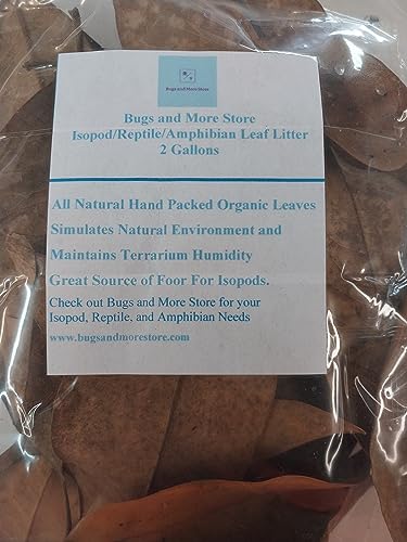 1 Gallon Bag of Dried Magnolia Leaves - Isopods, Reptiles, Amphibians, Terrarium, Vivarium, Leaf Litter for Terrarium or Vivarium, Moisture Retention
