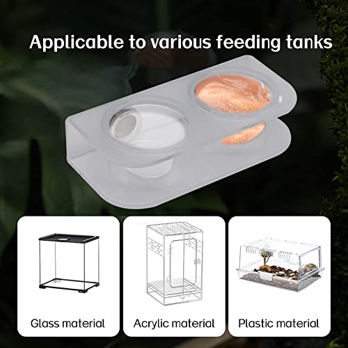 Magnetic Reptile Feeding Cups, Acrylic Gecko Feeding Ledge with 10 pcs Food Cups,Reptile Food and Water Dish Bowl for Geckos,Chameleon,Corn Snake,Iguana (F-2)