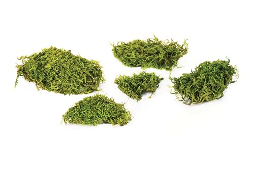SuperMoss (22166) Feather Moss | Natural Green Moss Sheets for Crafts, Fairy Garden Decor, Wedding Table Runners, Reptile Tank Accessories, and Indoor Plant Soil Cover, 1,400 cu. in., Fresh Green - size: 1,400 cu. in.
