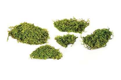 SuperMoss (22166) Feather Moss | Natural Green Moss Sheets for Crafts, Fairy Garden Decor, Wedding Table Runners, Reptile Tank Accessories, and Indoor Plant Soil Cover, 1,400 cu. in., Fresh Green - size: 1,400 cu. in.