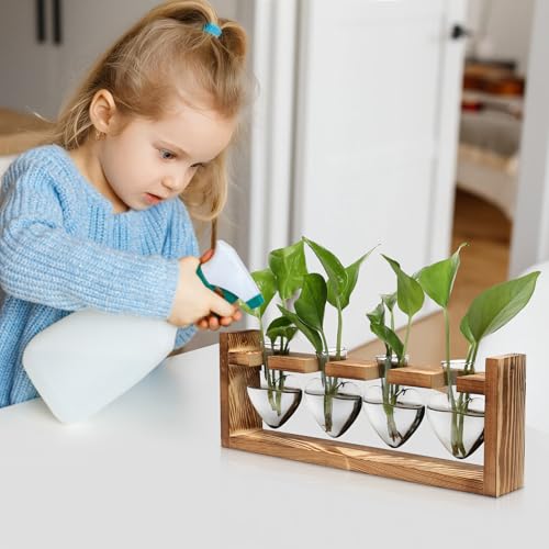 Plant Propagation Stations Heart Plant Terrarium Kit | Gift for Women Plant Lover Glass Vases - color: Gray