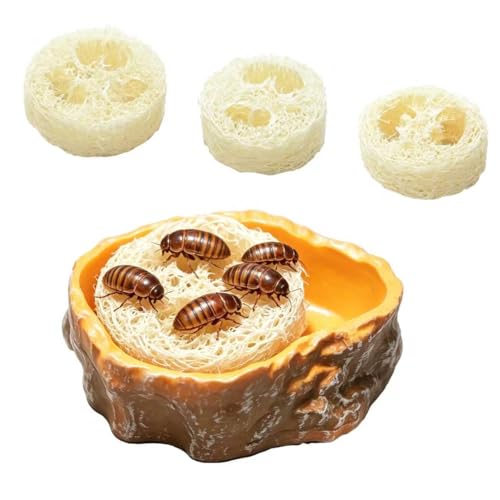 Dubia Roach Water Dish with 3 Luffa Inserts, Reptile Water Dish, Feeding Dish for Reptiles, Dubia Roaches Live, Isopods, Springtails, Crickets & Other Feeder Insects