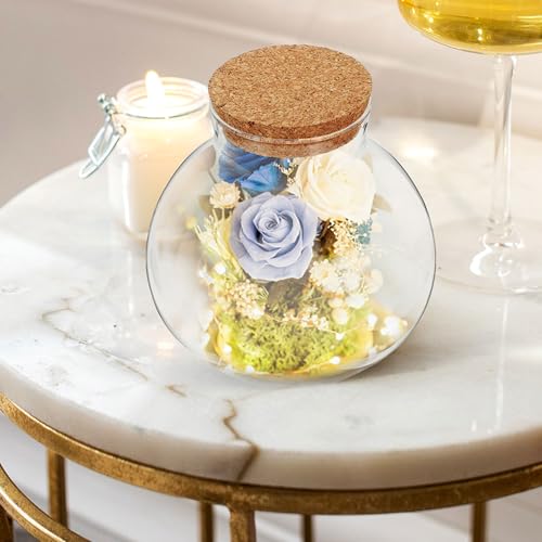 Glass Terrarium Jar with Cork Lid for Micro Landscape Plants, 13cm Round Ecosystem Bottle Suitable for Succulent, Moss, and Desk Display