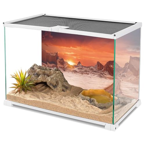 48x24 in Sun Desert Terrarium Backdrop Orange Reptile Habitat Background | AWERT Durable Polyester Background - size: 48x24in/120x60cm