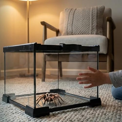 Small Glass Reptile Enclosure: 8x8x6 Full View Tarantula Enclosure | Lockable Sliding Screen Top Glass Terrarium - Insects Breeding Box Small Amphibians Cage for Leopard Gecko Hermit Crab - color: Glass, size: 8x8x6