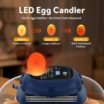18 Egg Incubator for Hatching Eggs with Automatic Turning, Digital Temperature & Humidity Control, Built-in Egg Candler & Auto Water Refill, 360° Clear View for Chicken