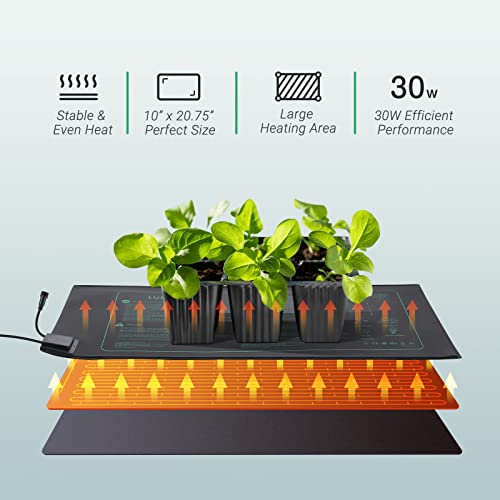 LUXBIRD 2 Pack Seedling Heat Mats with Digital Thermostat Controller, 10" x 20.75" 30W for Seed Starting, Germination, Hydroponics, Brewing, Breeding, Greenhouses (LB-HT02) - size: 2 Pack-10x20.75