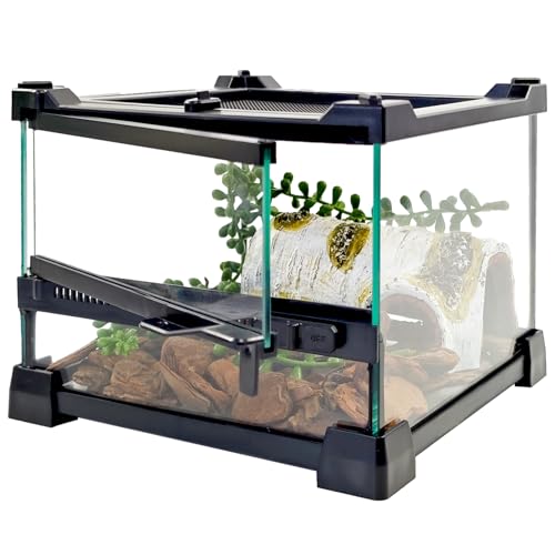 Woyrise Reptile Glass Terrarium Tank 8"x8"x5.7", Front & Top Opening Door Full View Visually Appealing Mini Reptiles or Amphibians Habitat, Stackable Enclousure for Small Reptiles