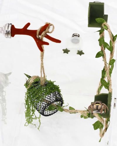 5Pcs Jumping Spider Enclosure Accessories with Hammock, Magnetic Climbing Rope, Resting Ledge Platforms and Feeding Dish Bowl & Hook for Terrarium Habitat (5Pcs Combination Kit) - color: 5Pcs Combination Kit