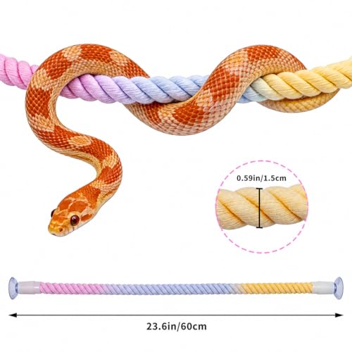 Snake Enrichment, Ball Python Tank Accessories, Gradient Climbing Decoration Rope with Suction Cups, Snake Climbing Accessories, Ball Python Enrichment - size: 60cm