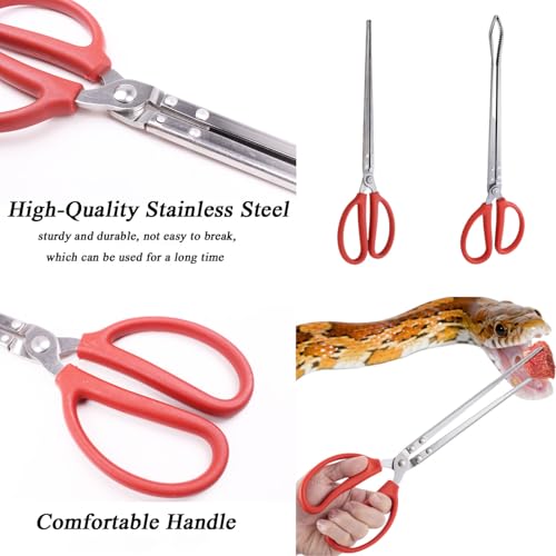 Booge 2 Pcs Stainless Steel Snake Feeding Tongs, 15 Inch Straight and Curved Extra Long Tweezers for Ball Python, Lizards, Bearded Dragon, Gecko