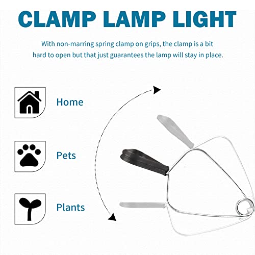 EP Clamp Lamp Light with Detachable 8.5 Inch Aluminum Reflector, 150 Watt E26 Socket (No Bulb Included), 6 Foot 18/2 SPT-2 Cord Cord, 2 Pack - size: 6