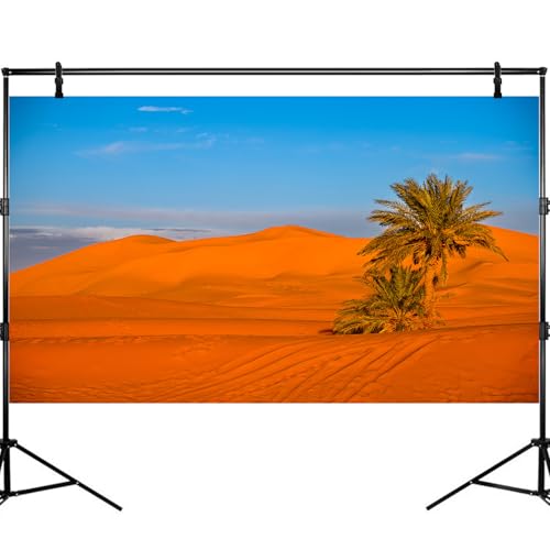 Desert Reptile Tank Background Majestic Sunset Desert Landscape Terrarium Background Desert Palm Tree Sand Dunes Reptile Habitat Background Sunrise Sahara Desert Aquarium Fish Tank Background 36x18in - size: 36(W)x18(H)inches/ 90(W)*45cm(H)