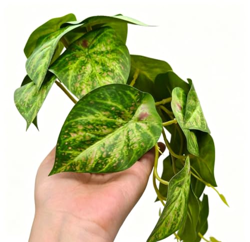 Fake Reptile Plants for Terrarium,Crested Gecko Tank Accessories | Artificial Plants for Reptile enclosure,Fake Habitat Decor for Lizard Bearded Dragon Desert Gecko Tortoise Snake frog- Green - color: Green