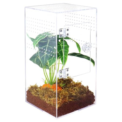 NANEEZOO Jumping Spider Enclosure with Front Opening Door, 6"x6"x12" Reptile Breeding Box Micro Habitat Terrarium for Small Tree Dwelling Reptiles, Spiders, Mantis & Invertebrates - size: 6x6x12 Inch Square