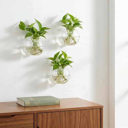 6 Pack Wall Hanging Planters Terrarium, 4.7 Inch Glass Oblate Globe Plants Containers, Wall Mount Clear Flower Vase for Propagating Hydroponics Plants, Air Plants (Plants Not Included)