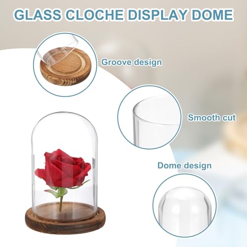 uxcell Glass Cloche Display Dome, 5.9" x 3.5" Glass Dome Display Case, Wood - size: 5.9" x 3.5"