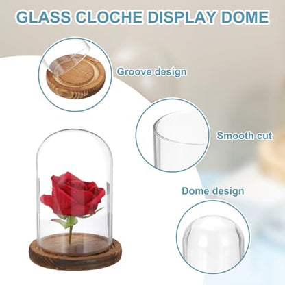 uxcell Glass Cloche Display Dome, 5.9" x 3.5" Glass Dome Display Case, Wood - size: 5.9" x 3.5"
