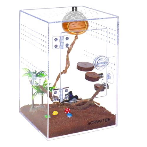 Spider Terrarium Kit, Jumping Spider Enclosure with Hideout, Rope Bridge, Ledge Ladder, Micro Habitat Terrarium for Small Tree Dwelling Reptiles, Arboreal Tarantula Enclosure (6x6x9 Inches) - size: 6x6x9 Inches
