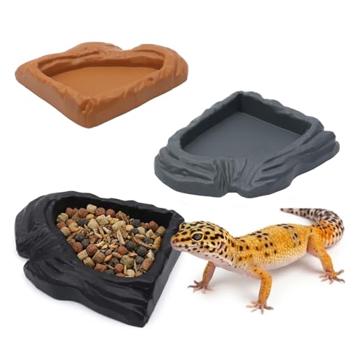 3 Pack Reptile Food Bowl Water Dish Fan Shape Feeding Basin for Gecko Bearded Dragons Snake Small Reptile