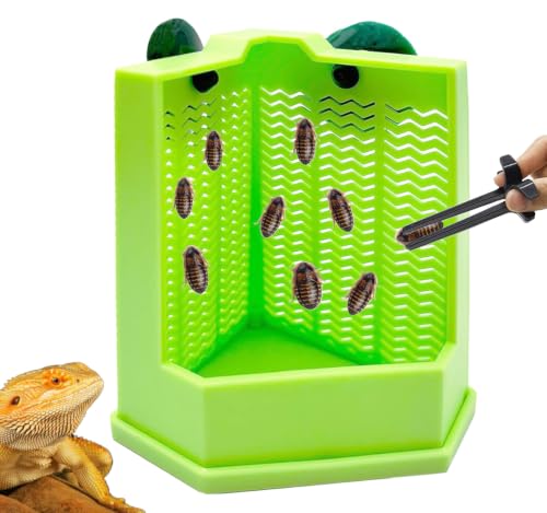 Bearded Dragon Feeder Chameleon Feeder for Mounted Insect (Medium) | Plastic,Anti-Escape,Corner,Crested Gecko Tank Accessories,with Rope Suction Cup and Tweezers,for Lizard Gecko Frog